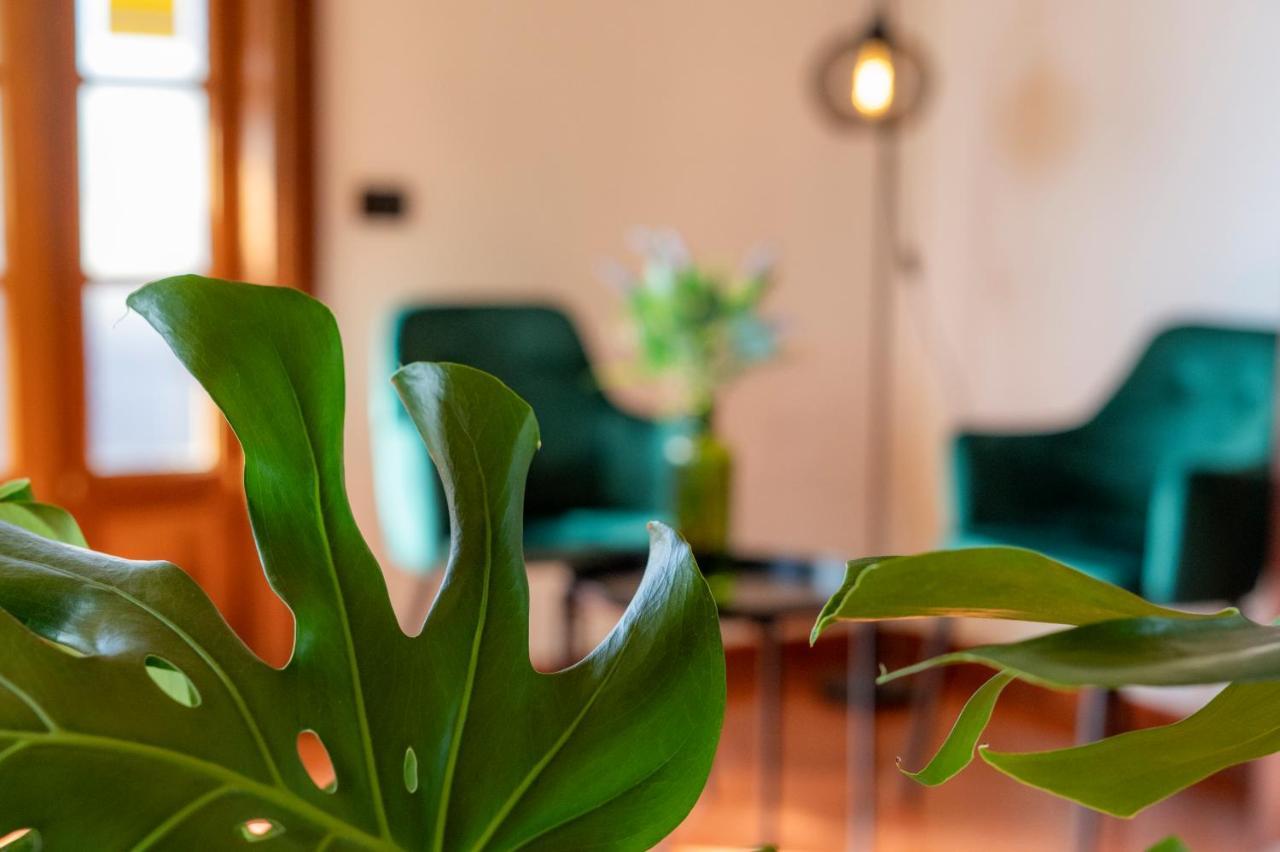 Hotel El Tejar & Spa ビラフロール エクステリア 写真